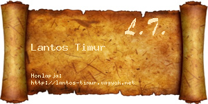 Lantos Timur névjegykártya
